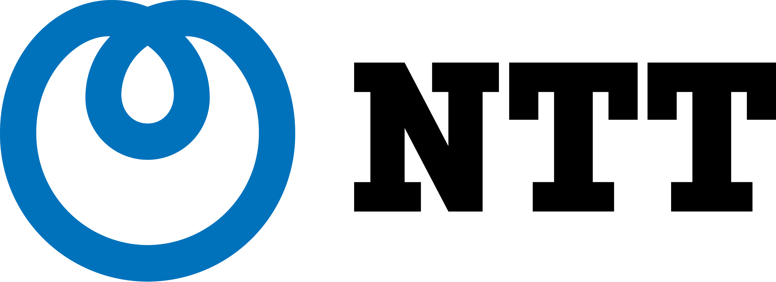 Director of Product Management, NTT logo
